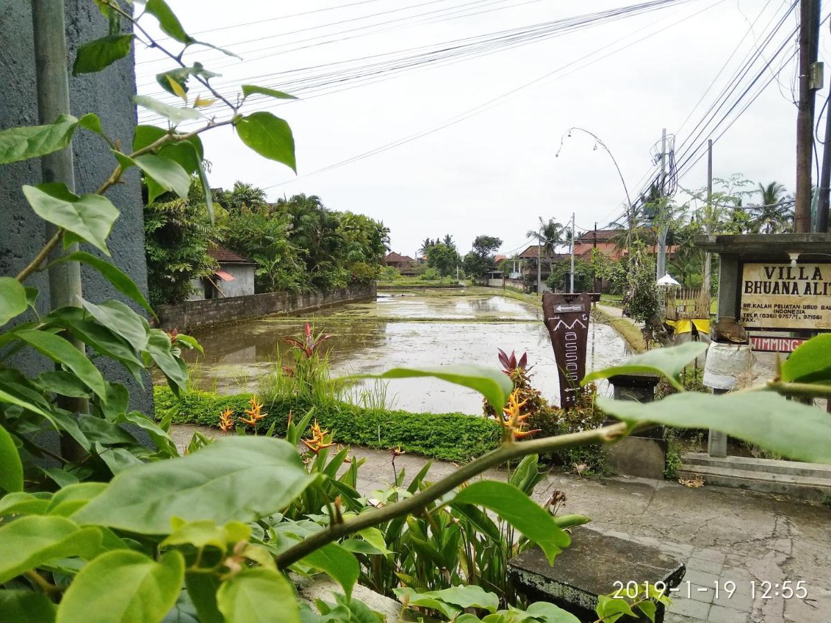 Bhuana Alit 2 Ubud Exterior foto